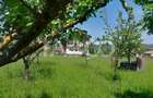 Casa de vanzare cu teren 2000 mp 5 camere  Sura Mare Hamba Sibiu - 3