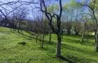 Teren intravilan com.Drajna, sat Cătunu, 12 km de Vălenii de Munte, jud. Prahova - 6