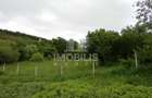Teren intravilan | Budiu Mic | 994 mp - 4