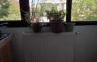 Apartament Pache Protopopescu / Foișorul de Foc - 5