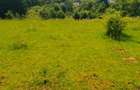 7600 mp intravilan Grui - 5