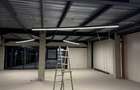 Showroom si Hale depozitare + birouri - 8