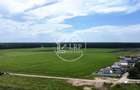 OPORTUNITATE INVESTIȚIE:Teren intravilan 25.000mp Dascălu-Pădure, parcelabil - 5