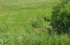 Teren extravilan de vânzare – Brăteni acces la Lac - 1
