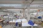 De vanzare spatiu industrial in Turnu Magurele - Teleorman - 9