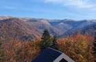 VAND PENTHOUSE 280 MP IN VILA + GARAJ LUX IN SINAIA PH COTA 1400 - 19