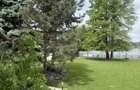 VILA SUPERBA SNAGOV  DESCHIDERE 40 ML LAC  TEREN 1750 MP - 6