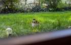 Cartierul Solar - Apartament 2 camere mobilat-utilat - 5