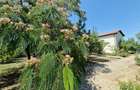 CASA P +E , 5 camere -Cosoveni - 4