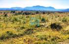 Comision ZERO, Vanzare teren , zona Tabara, DN 73 - Brasov - 7