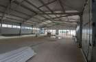 Hale cu suprafete intre 100-400mp in zona Drumul Intre Tarlale - 1