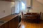 Apartament 2 camere, 53 mp, mobilat utilat, zona Muzeul Apei - 4