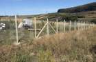 Teren intravila de vanzare, 5.595 mp, zona Ortelec - 2