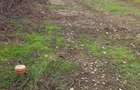 Teren intravilan Ploiesti-Zona Bariera Bucov - 5