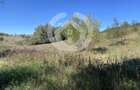 Teren Intravilan constructii 1300 mp - 20 ml deschidere | 17 km | Sibiu - 2