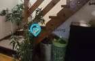 Casa de vacanta | Investitie | zona montana - padure | Arges | Leresti - 26