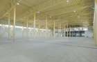 Hala industrială 2.000 mp • Depozitare / Producție • Rampe încărcare • Otopeni - 18