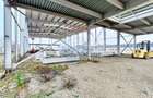 Vanzare Hala Semifinalizata sau Finalizata, Teren 4000mp, Mogosoaia - 4