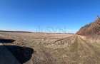REL4000892 Corbeana - Ostratu 15200 mp langa padure - 3