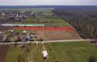 NUCI - BALTA NEAGRA, LOT 3900 MP, LA PADURE! - 8