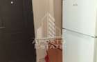 Apartament cu 1 camera de inchiriat, 32 mp, Take Ionescu, Timisoara - 5