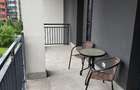 Apartament o cameră 41 mp plus terasa Ateneo Torontalului  - 8