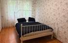 DRISTOR-METROU, 2 camere, etaj 1, decomandat, mobilat 420 euro - 6