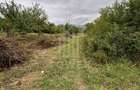 Teren intravilan de vânzare în Daia Nouă – 1.000 mp - 2