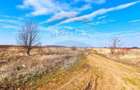 Teren Extravilan la granita cu Intravilanul - Măcheaua-Corbeanca - 4