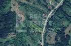 Teren intravilan 3.247 mp, oportunitate afacere, Slănic, Prahova - 1