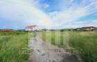 Teren intravilan | De vanzare | 5998 mp | 55 ml deschidere | Cetate - 3