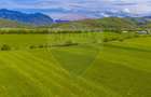Teren 3000mp de vânzare în Râșnov / Pănicel - 6