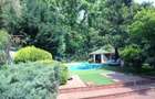Exclusivitate / Iancu Nicolae-Pipera, vila cu piscina, langa padure - 1