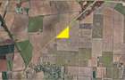 TUNARI - Dimieni, 100.000 mp. teren cu potential ridicat - 2