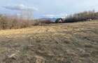Teren intravilan 500 mp sau 1000 mp în Zarnesti –Tohanita cu parau(izvor) - 7