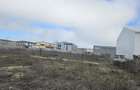 2500 mp teren industrial   stradal Popesti Leordeni - 3