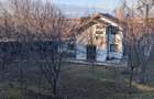 Casă primitoare cu livadă și teren generos - 2