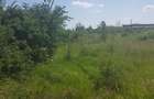 Teren intravilan 2500 mp , deschidere 24 m - 2
