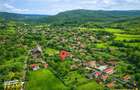 FILM! 5.000mp teren intravilan cu casuta rustica, Dalnic, Covasna - 1