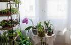 RECO Apartament cu 2 camere Episcopia - 3