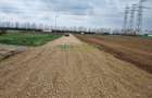 Vânzare teren industrial 4000 mp Popești-Leordeni - 5