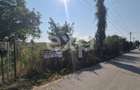 Teren intravilan Bascov - Lunca | 3151 mp - 1