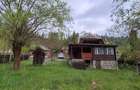 Cabana Lunca Bradului- 1200 mp teren - 10