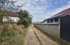 Teren intravilan Sânpetru – Livada - 3