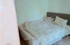 Apartament 2 camere Alexandru cel Bun - 3