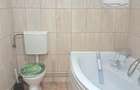 Apartament 2 camere in Valea Aurie - 8