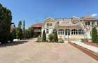 Spații de Inchiriat - Proprietate cu funcțiuni mixte – Str. Căplenilor Carei - 2