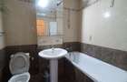 Inchiriez apartament 3 camere Malul Muresului - 14