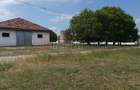 Ferma complet utilată – 30 ha teren comasat cu 11.500mp grajduri renovate Timiș - 8