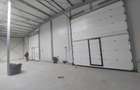 Ovidiu, parc industrial, constructie 2025, 120-1160 mp. - 8